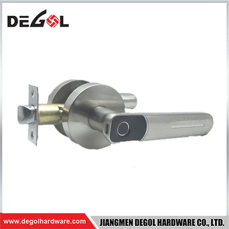 DBL1207 Smart Fingerprint Door Lock Biometric Door Knob Keyless Entry Door Locks for Homes