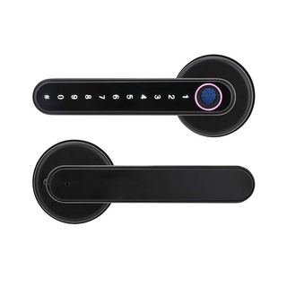 Fingerprint Electric Handle Lock Smart Home Door Lock Biometric Fingerprint Lock