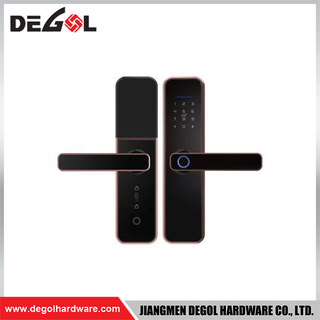 SML28 Zinc Alloy Door Handle Smart Lock Matt Black/ Satin Silver