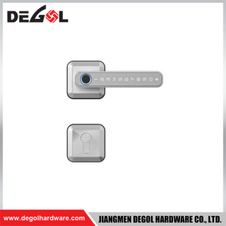 SML20 Zinc Alloy Door Handle Smart Lock Matt Black/ Satin Silver