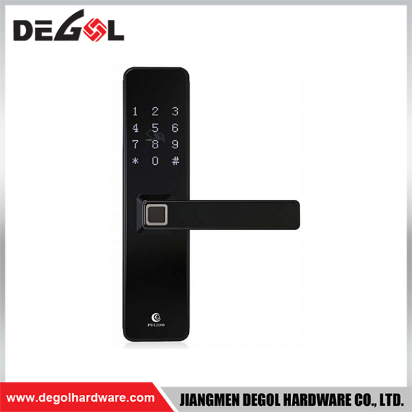 SML05 Zinc Alloy Door Handle Smart Lock Matt Black/ Satin Silver