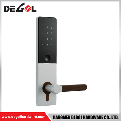 SML63 Zinc Alloy Door Handle Smart Lock Matt Black/ Satin Silver