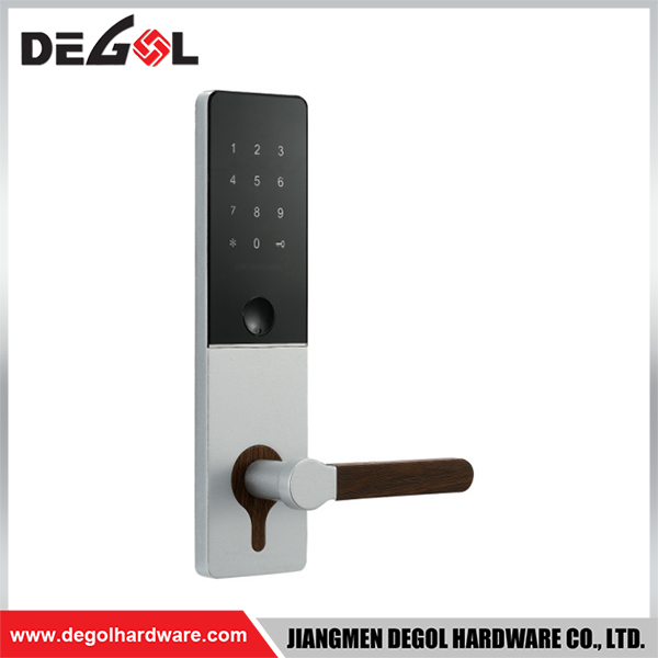 SML63 Zinc Alloy Door Handle Smart Lock Matt Black/ Satin Silver