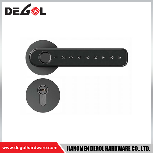 SML01 Zinc Alloy Door Handle Smart Lock Matt Black/ Satin Silver
