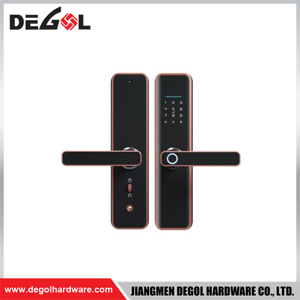 SML31 Zinc Alloy Door Handle Smart Lock Matt Black/ Satin Silver