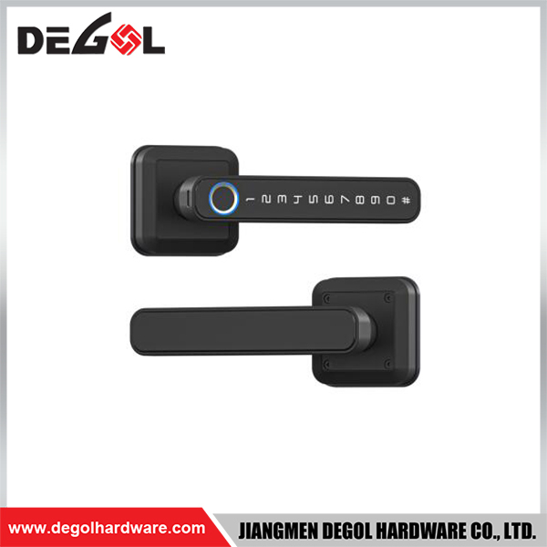 SML17 Zinc Alloy Door Handle Smart Lock Matt Black/ Satin Silver