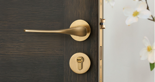 Door Lock: The Core of Safety Hardware