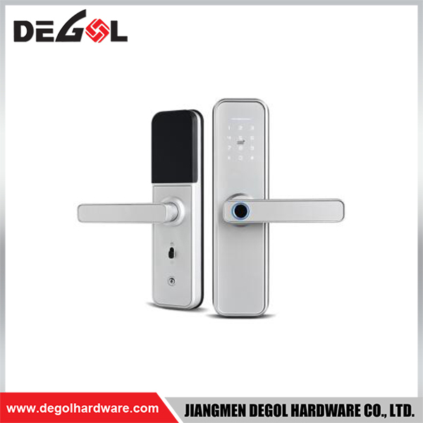 SML29 Zinc Alloy Door Handle Smart Lock Matt Black/ Satin Silver