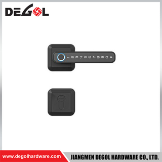 SML19 Zinc Alloy Door Handle Smart Lock Matt Black/ Satin Silver