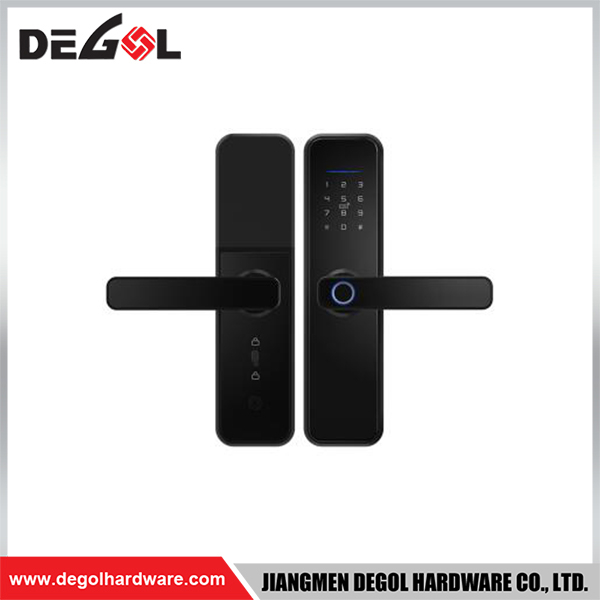 SML27 Zinc Alloy Door Handle Smart Lock Matt Black/ Satin Silver