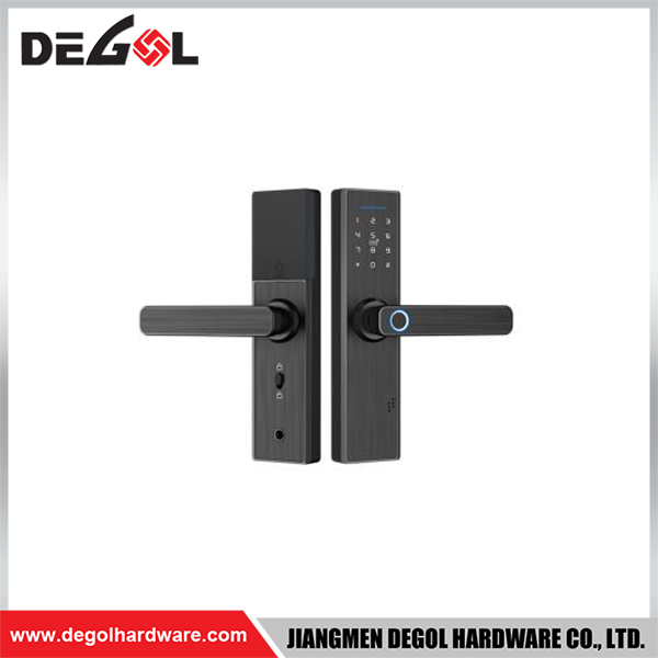 SML21 Zinc Alloy Door Handle Smart Lock Matt Black/ Satin Silver