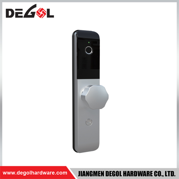 SML57 Zinc Alloy Door Handle Smart Lock Matt Black/ Satin Silver