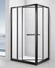 SR15 8mm 10mm 12mm glass SS304 Clear Simple Shower Room Fittings Bathroom Door Aeecssories