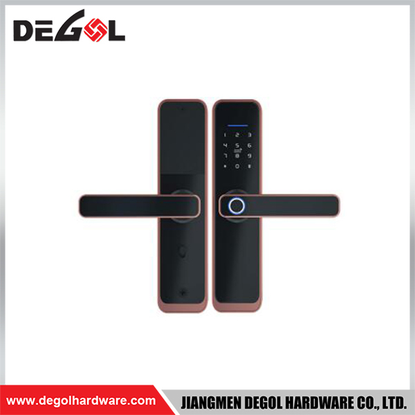 SML25 Zinc Alloy Door Handle Smart Lock Matt Black/ Satin Silver