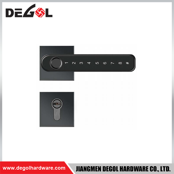 SML02 Zinc Alloy Door Handle Smart Lock Matt Black/ Satin Silver