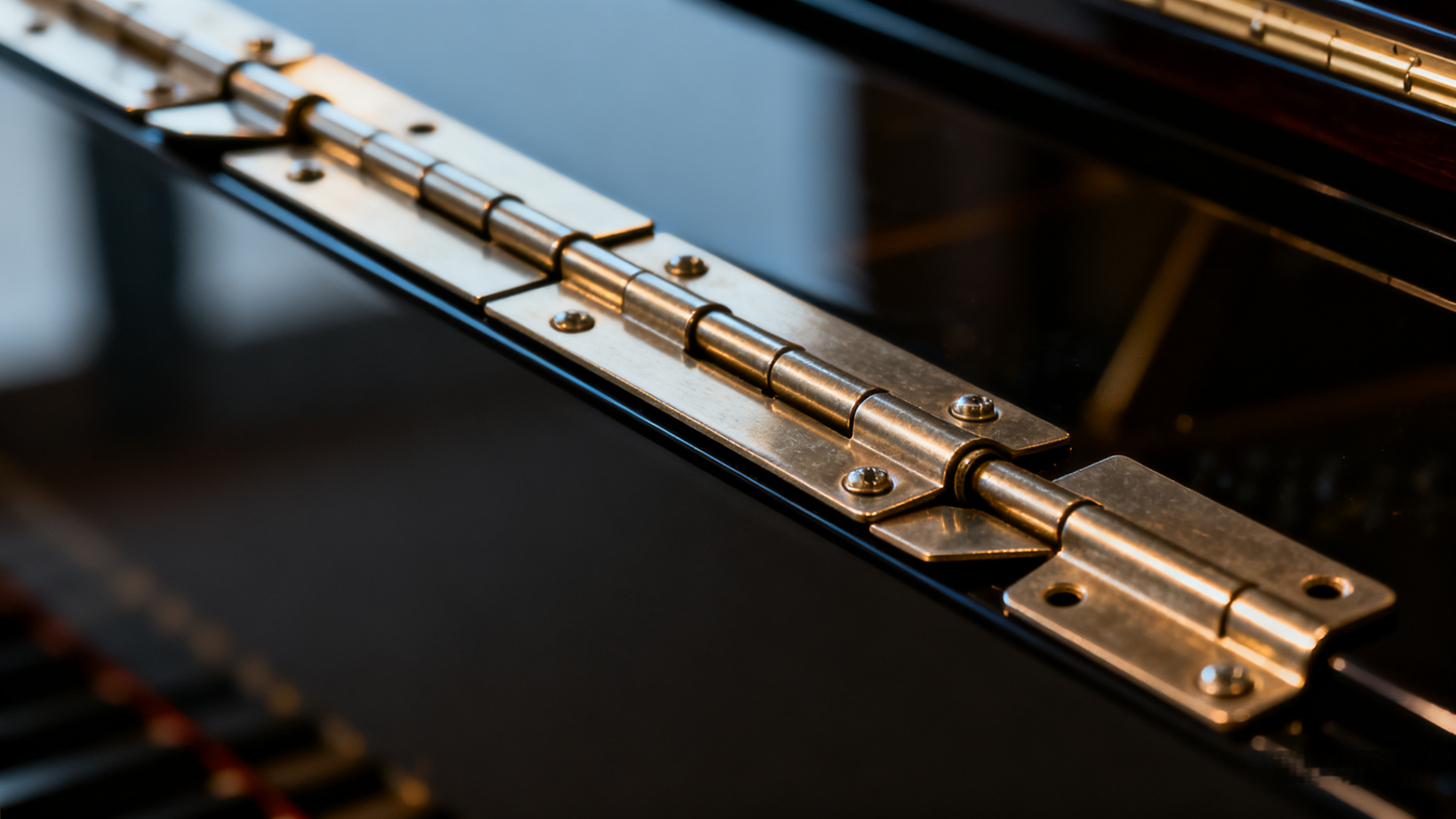 Hidden Backbone: Degol long hinges, giving the door the same length as time