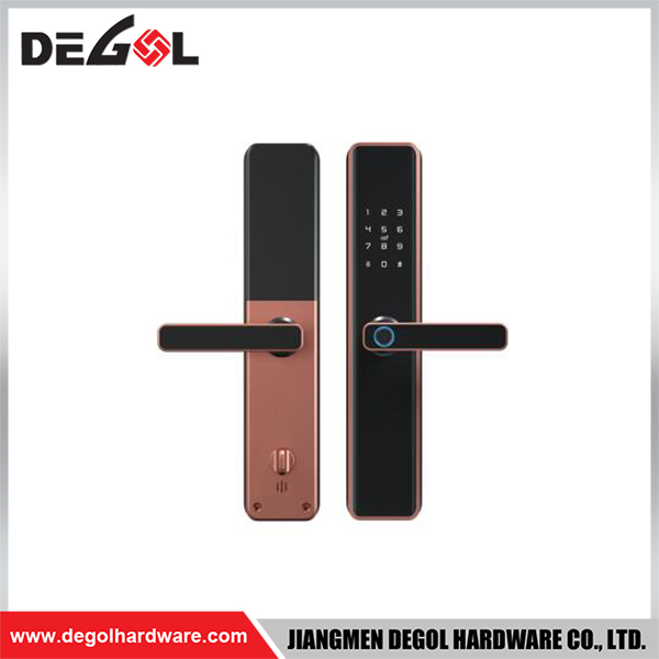 SML39 Zinc Alloy Door Handle Smart Lock Matt Black/ Satin Silver