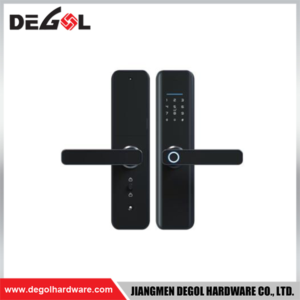 SML30 Zinc Alloy Door Handle Smart Lock Matt Black/ Satin Silver