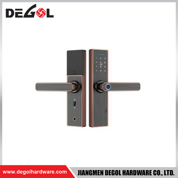 SML22 Zinc Alloy Door Handle Smart Lock Matt Black/ Satin Silver