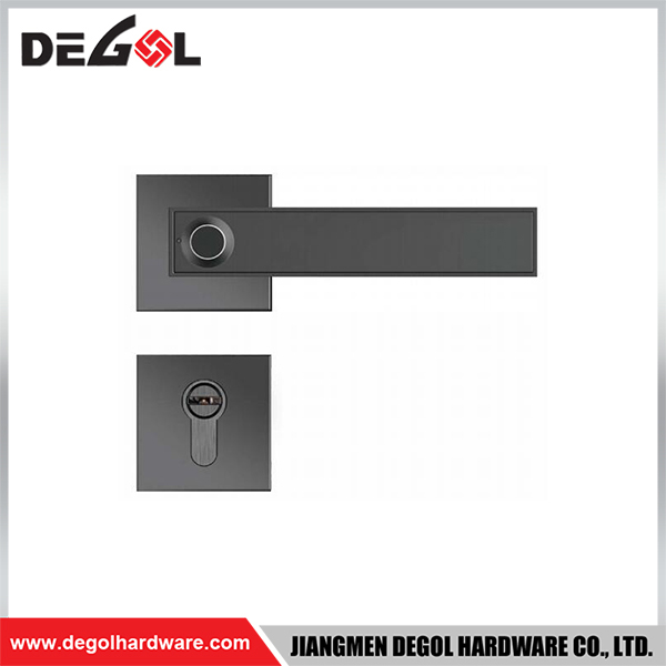SML03 Zinc Alloy Door Handle Smart Lock Matt Black/ Satin Silver