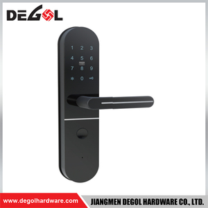 SML58 Zinc Alloy Door Handle Smart Lock Matt Black/ Satin Silver