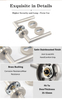 LH1045 Modern Zinc Alloy Tubular Door Lever Handle on Round Rose