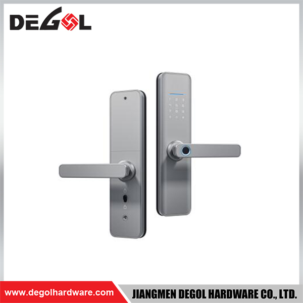 SML32 Zinc Alloy Door Handle Smart Lock Matt Black/ Satin Silver