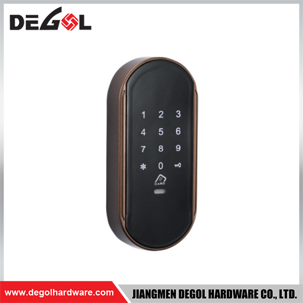 SML139 Zinc Alloy Door Handle Smart Lock Matt Black/ Satin Silver