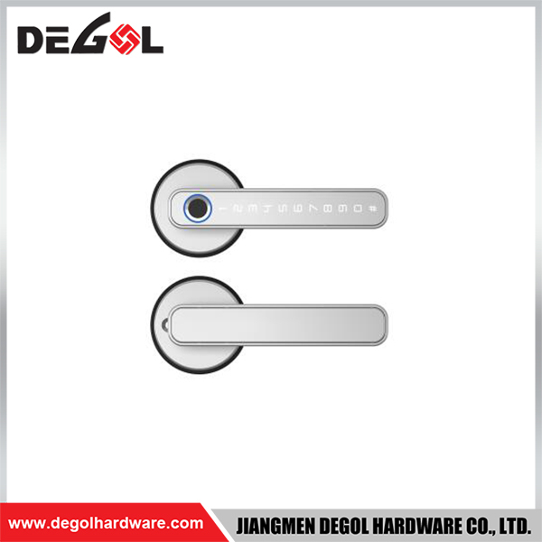 SML16 Zinc Alloy Door Handle Smart Lock Matt Black/ Satin Silver