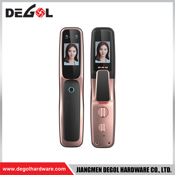 SML06 Zinc Alloy Door Handle Smart Lock Matt Black/ Satin Silver