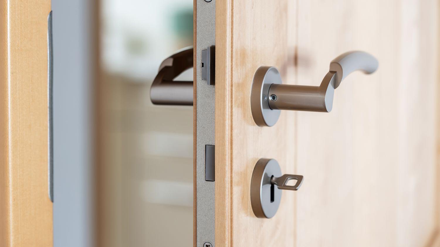 Door Cylinder Locks: The Core of Space Security