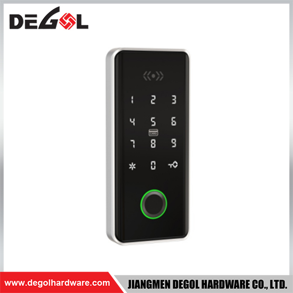 SML124 Zinc Alloy Door Handle Smart Lock Matt Black/ Satin Silver