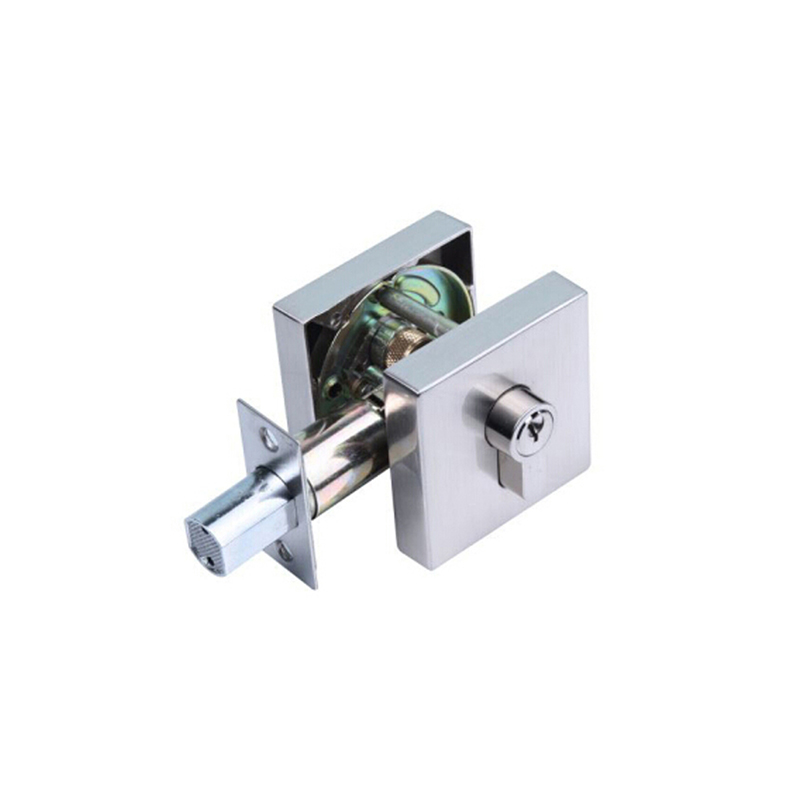 door privacy lever lock