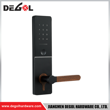 SML62 Zinc Alloy Door Handle Smart Lock Matt Black/ Satin Silver